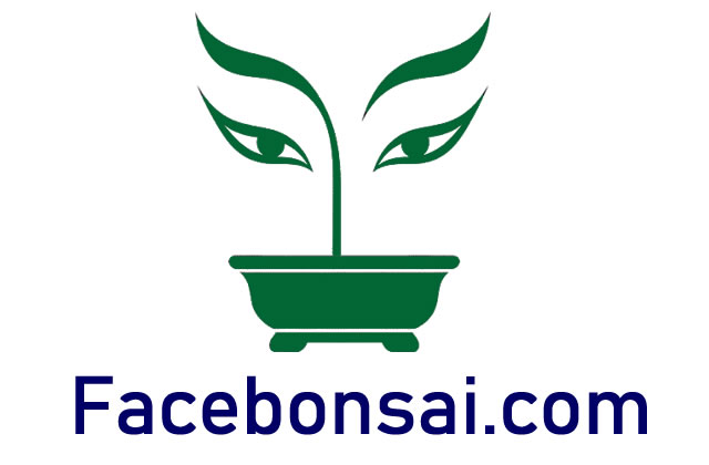 facebonsai2